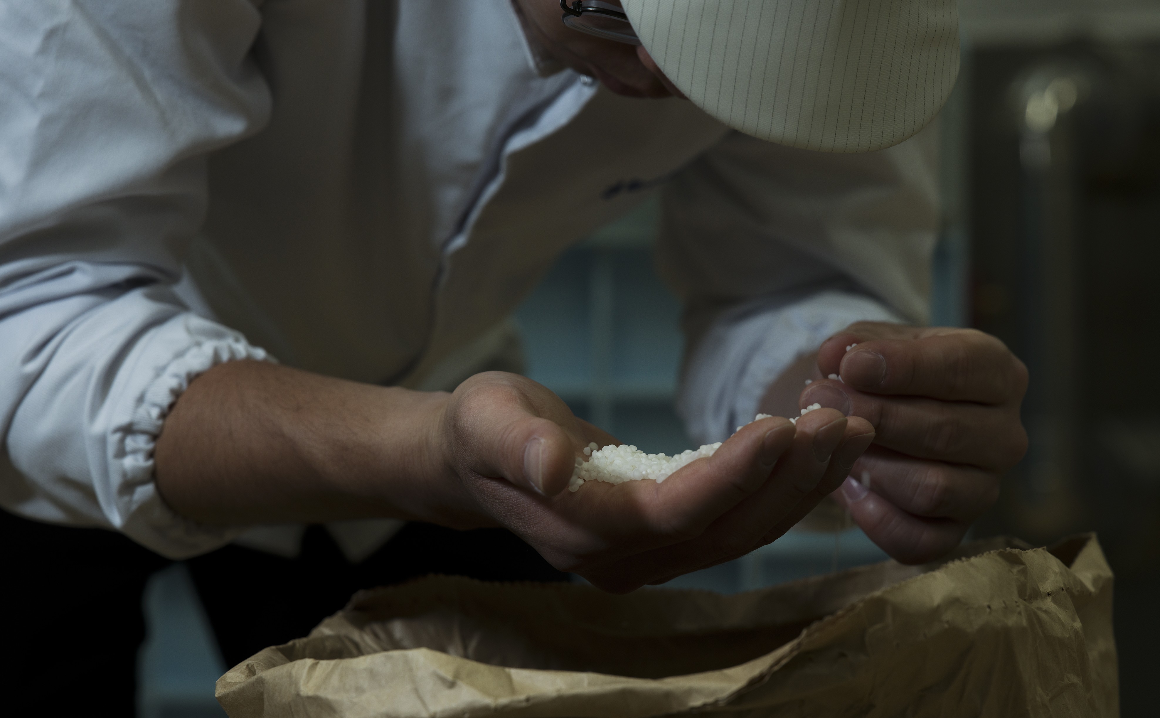 Sake brewing rice inspection